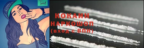 Альфа ПВП Верея