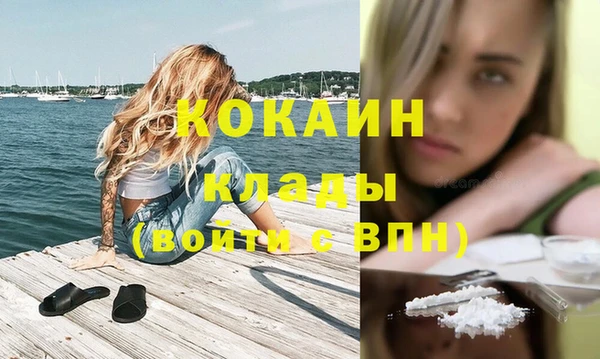 Альфа ПВП Верея