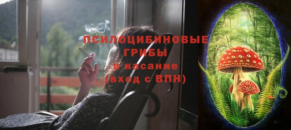 Альфа ПВП Верея