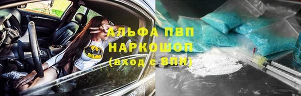 Альфа ПВП Верея