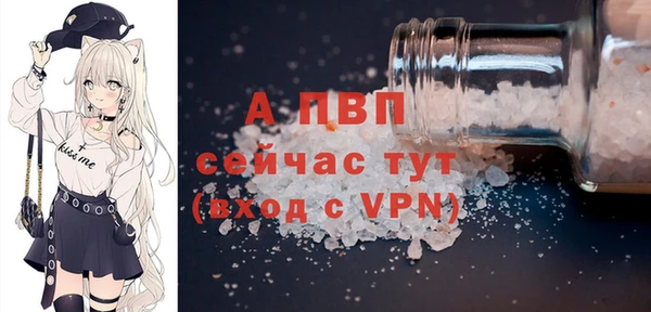 Альфа ПВП Верея
